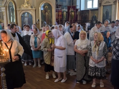 Архиерейское богослужение. Полвека служения протоиерея Владимира Похожая у Алтаря Господня