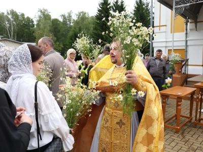 Многодетность — от доверия к Богу! В День семьи, любви и верности в Новозыбковском благочинии чествовали многодетные семьи