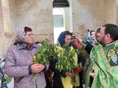 Новозыбковское благочиние: Священник и местные жители села Медведи Красногорского района совершили соборную молитву в разрушенном храме в день Входа Господня во Иерусалим