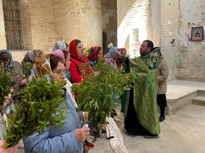 Новозыбковское благочиние: Священник и местные жители села Медведи Красногорского района совершили соборную молитву в разрушенном храме в день Входа Господня во Иерусалим