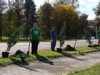 В память об освободителях Новозыбковской земли от немецко-фашистских захватчиков, на одной из центральных улиц города, в ознаменование 75-летия Великой Победы, высажена Аллея памяти