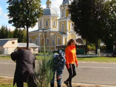 В память об освободителях Новозыбковской земли от немецко-фашистских захватчиков, на одной из центральных улиц города, в ознаменование 75-летия Великой Победы, высажена Аллея памяти