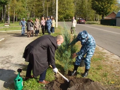 В память об освободителях Новозыбковской земли от немецко-фашистских захватчиков, на одной из центральных улиц города, в ознаменование 75-летия Великой Победы, высажена Аллея памяти