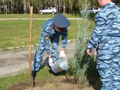 В память об освободителях Новозыбковской земли от немецко-фашистских захватчиков, на одной из центральных улиц города, в ознаменование 75-летия Великой Победы, высажена Аллея памяти