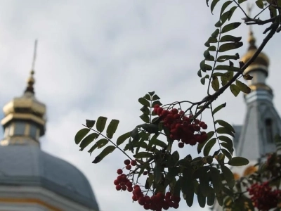 Престольный праздник прихода храма в честь Чуда Архистратига Михаила в Хонех города Новозыбков Клинцовской Епархии